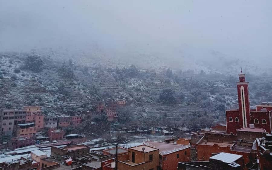 Marrakech: Ourika Valley Day Trip with Berber Village - Choosing your walking level at the waterfalls