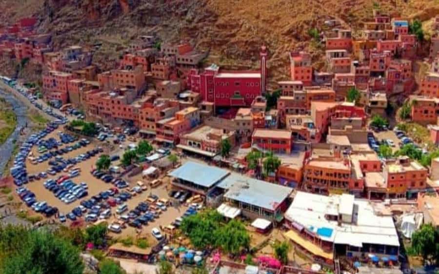 Marrakech: Ourika Valley Day Trip with Berber Village - Who should book this Ourika Valley trip