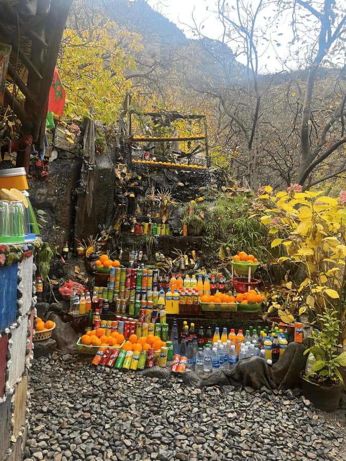 Marrakech: Ourika Valley Full-Day Atlas Mountain Guided Tour - Setti Fatma waterfalls: optional, but it’s the swing factor