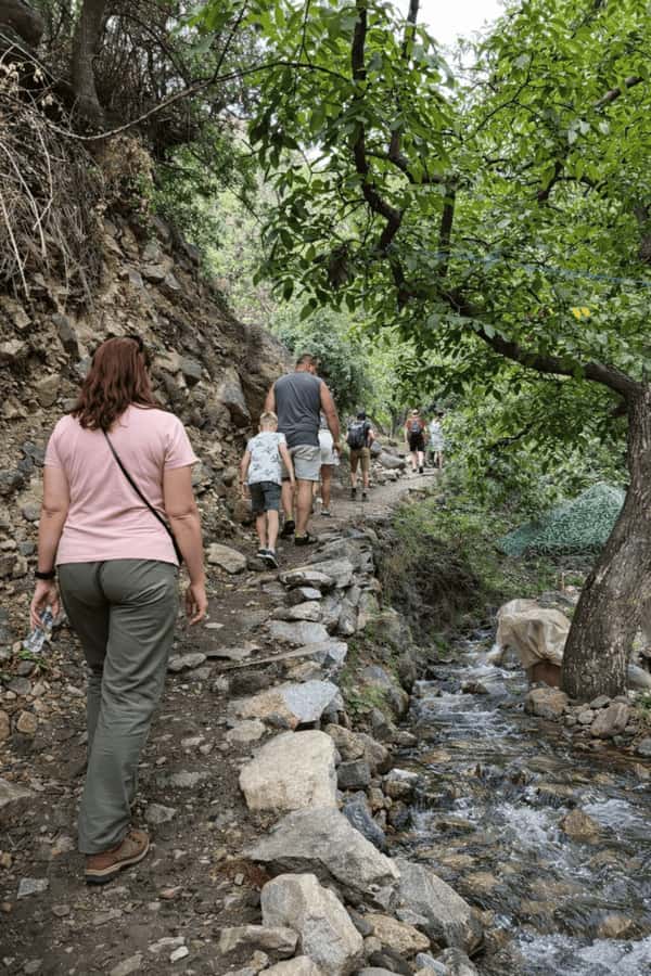 Marrakech: Ourika Valley Full-Day Atlas Mountain Guided Tour - Lunch by the river: comfort, timing, and what to choose