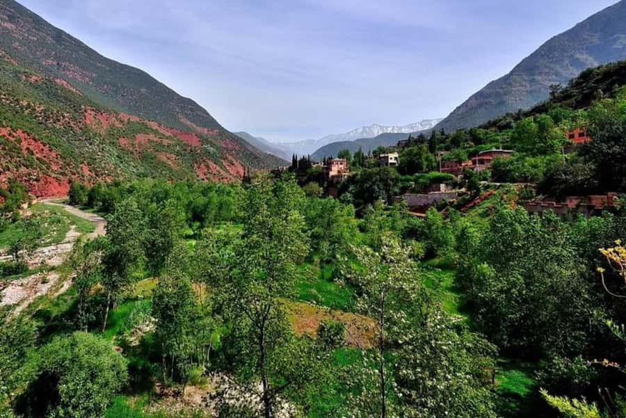 Marrakech: ourika valley lunch & guided hike to waterfalls - Price and logistics: why the $12 figure works for a full day