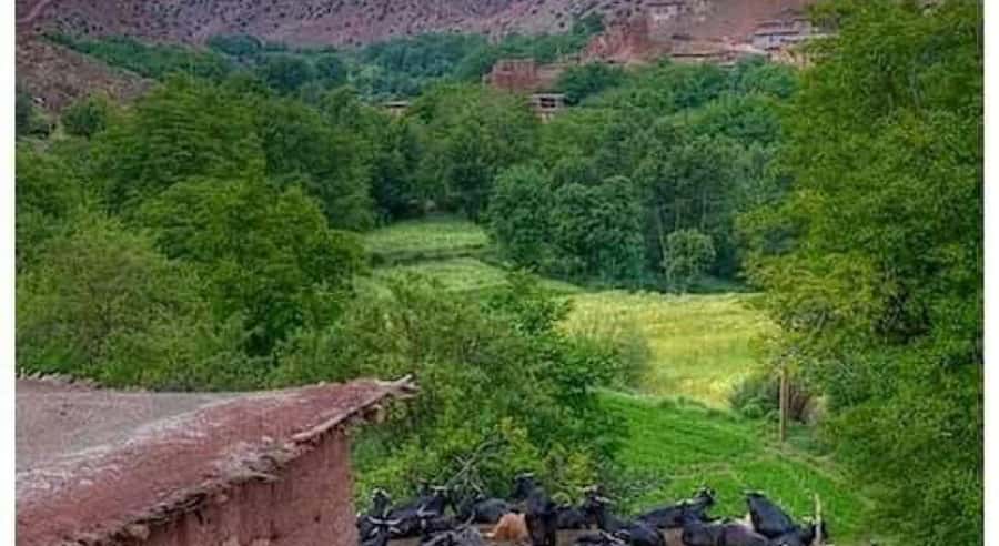 Marrakech: ourika valley lunch & guided hike to waterfalls - Who should book, and who should skip this hike