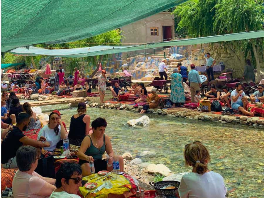 Marrakech: Ourika Valley & Setti Fatma Waterfalls with Lunch - Argan oil cooperative: what you’ll learn and why it matters