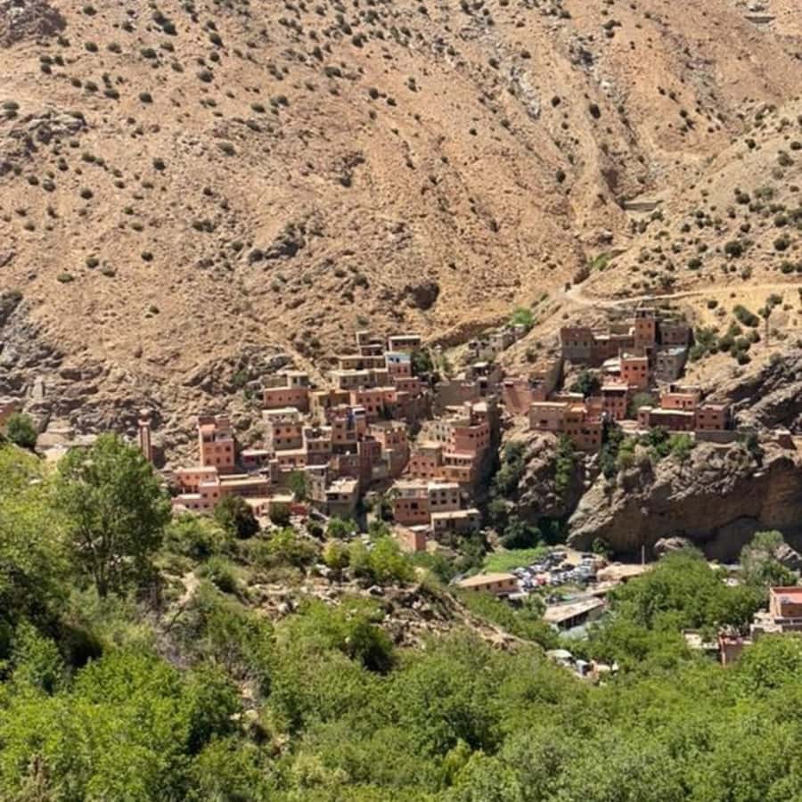 Marrakech: Ourika Valley & Setti Fatma Waterfalls with Lunch - Who should book this Ourika Valley and Setti Fatma day trip