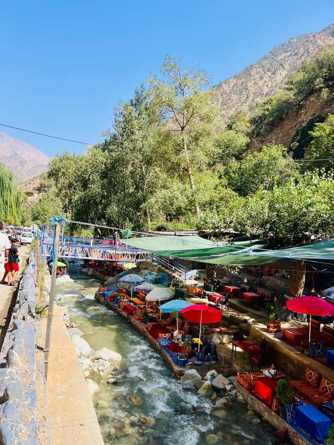 Marrakech: ourika valley & waterfall Day Trip with guide - Key highlights worth planning for