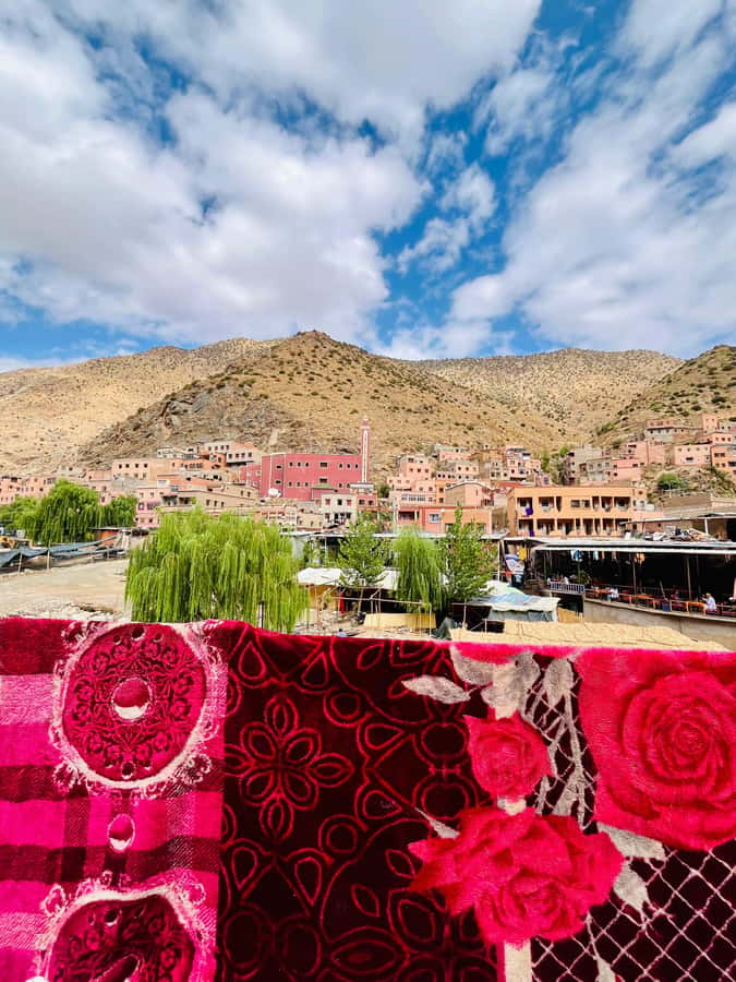 Marrakech: ourika valley & waterfall Day Trip with guide - Meeting your local guide in Ourika village