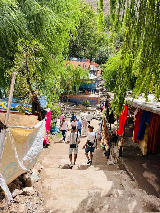 Marrakech: ourika valley & waterfall Day Trip with guide - The waterfall hike: time, terrain, and what you’ll actually see