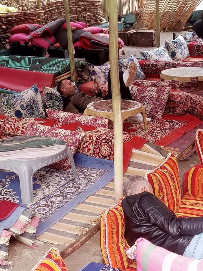 Marrakech: ourika valley & waterfall Day Trip with guide - Price at around $11: where the value really comes from