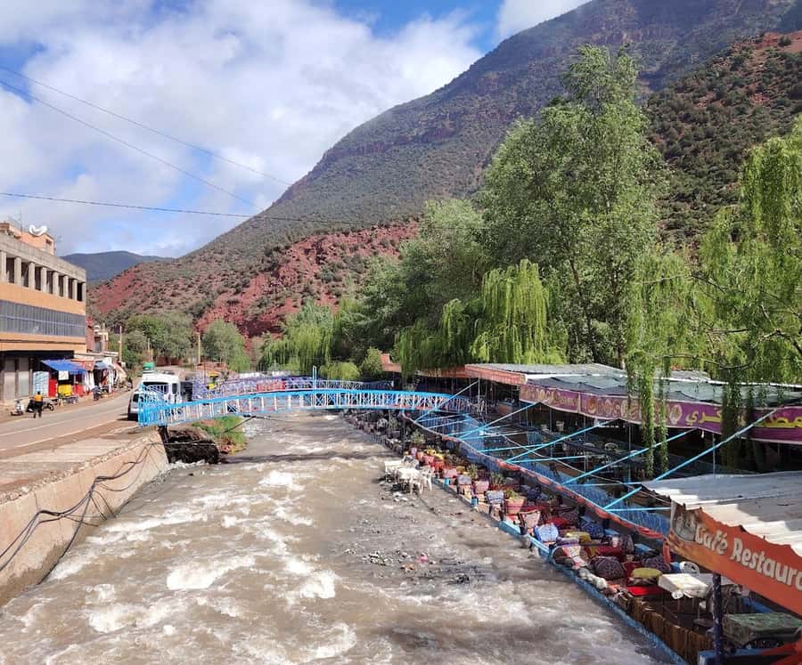 Marrakech: Ourika Valley,Waterfalls, Atlas Luxury Day trip - Argan Oil Cooperative: How Moroccan Liquid Gold Gets Made