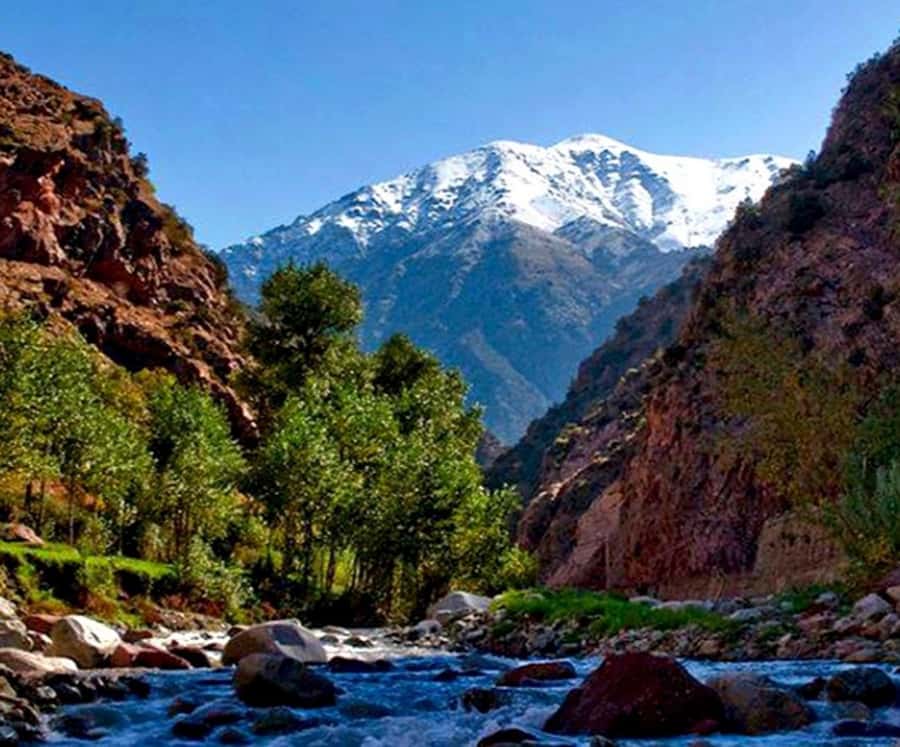 Marrakech: Ourika Valley,Waterfalls, Atlas Luxury Day trip - Lunch by the Ourika River: Morocco Food With a Real View