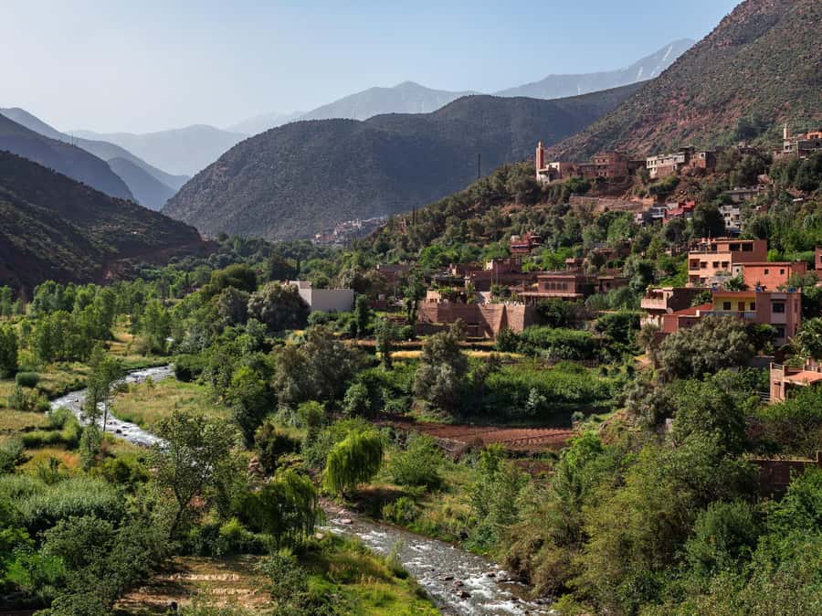 Marrakech: Ourika Valley Waterfalls & Atlas Mountains Trip - Argan oil women’s cooperative: real craft, real products