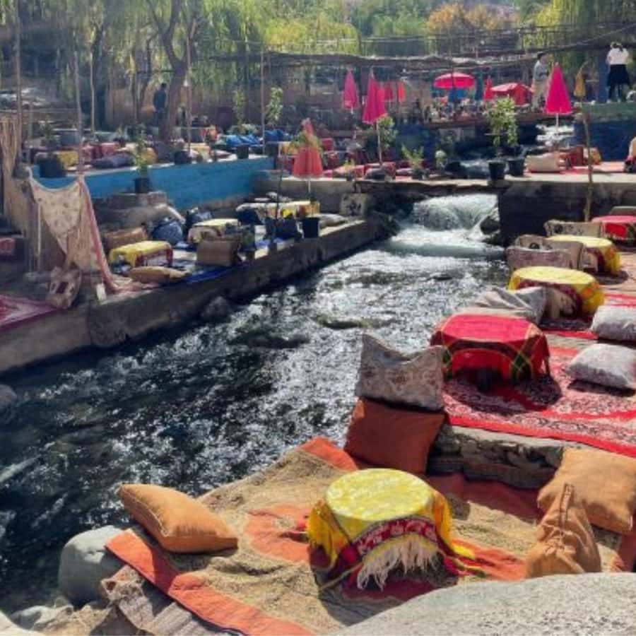 Marrakech: Ourika Valley & Waterfalls Guided Tour with Lunch - Riverside lunch by the Ourika River, how to make it satisfying