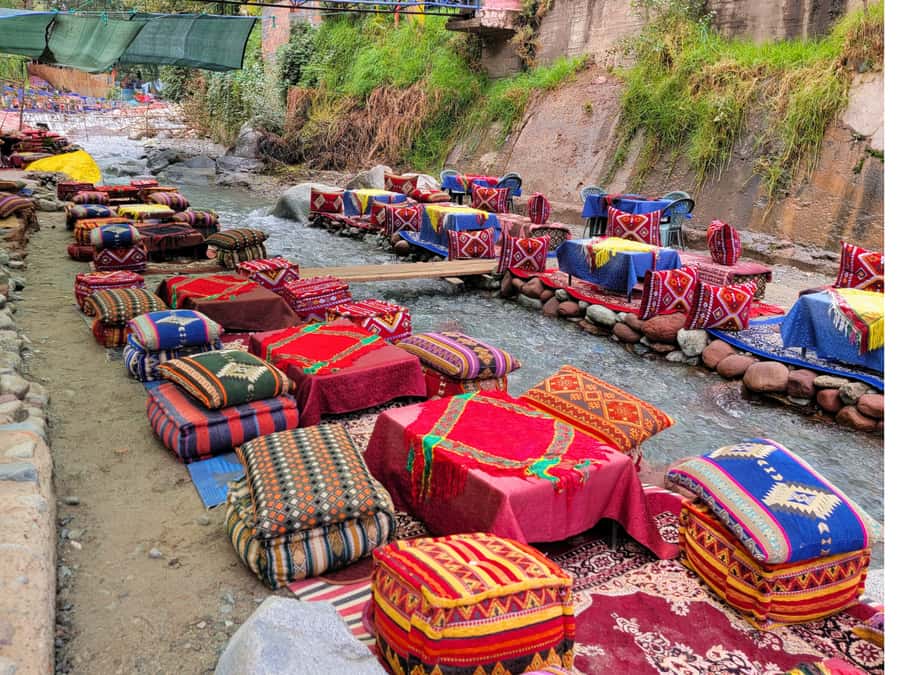 Marrakech: Ourika Valley & Waterfalls Guided Tour with Lunch - Timing, group comfort, and what small-group really means