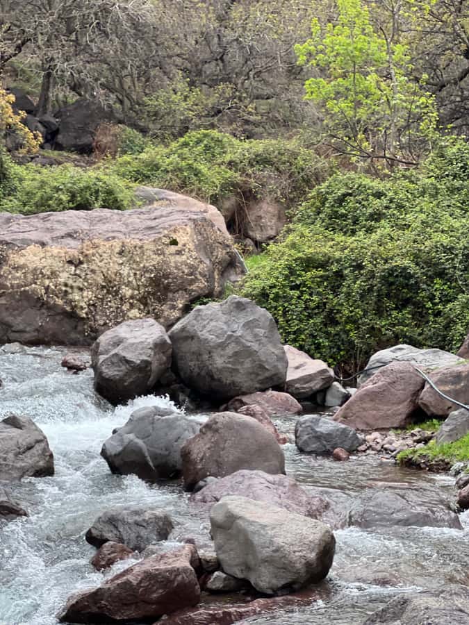 Marrakech: Ourika Valley Waterfalls Hike & Traditional Lunch - Berber village culture stops that don’t feel like a lecture