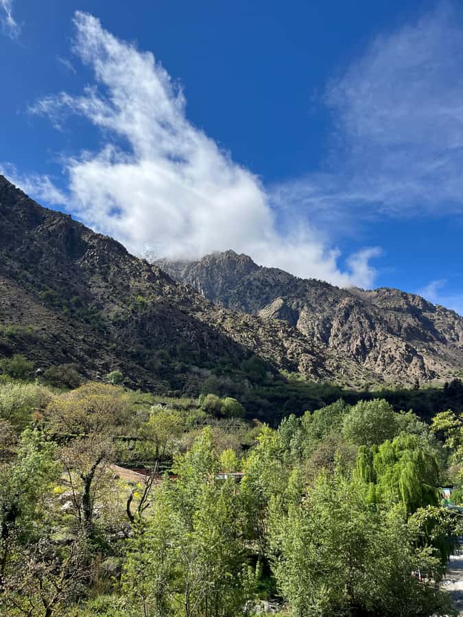 Marrakech: Ourika Valley Waterfalls Hike & Traditional Lunch - Price and value for a 7-hour Atlas Mountains day trip