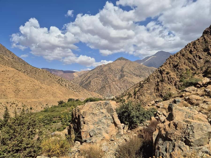 Marrakech: Ourika Valley, Waterfalls Private Trip with Lunch - Why Ourika Valley Feels Like a Reset From Marrakech