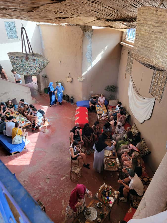 Marrakech: Ourika Valley, Waterfalls Private Trip with Lunch - Argan Oil Cooperative and a Berber House Visit With Mint Tea