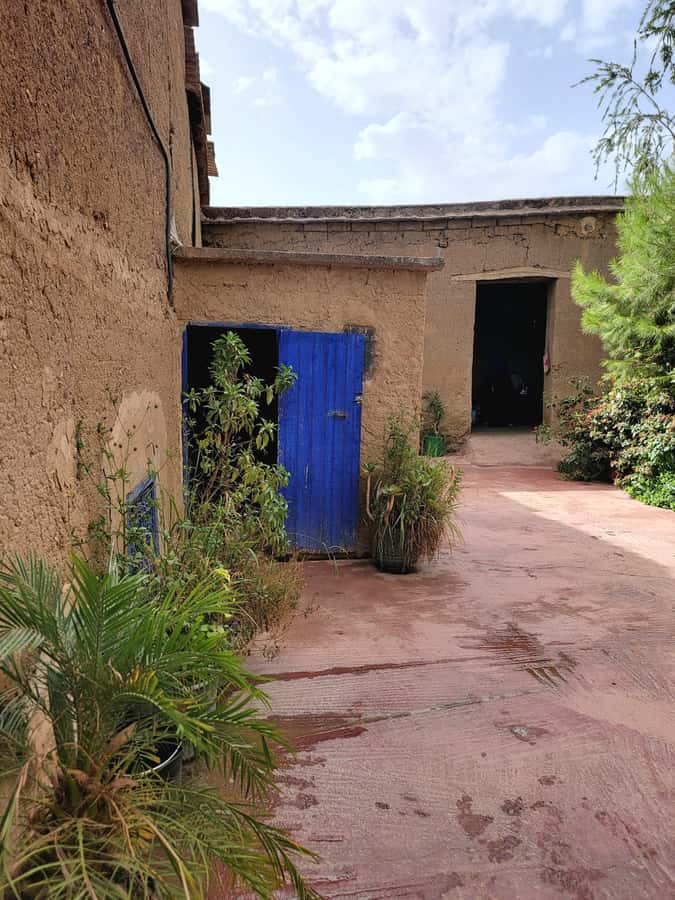 Marrakech: Ourika Valley, Waterfalls Private Trip with Lunch - Riverside Lunch by the Ourika River, With Veg Options