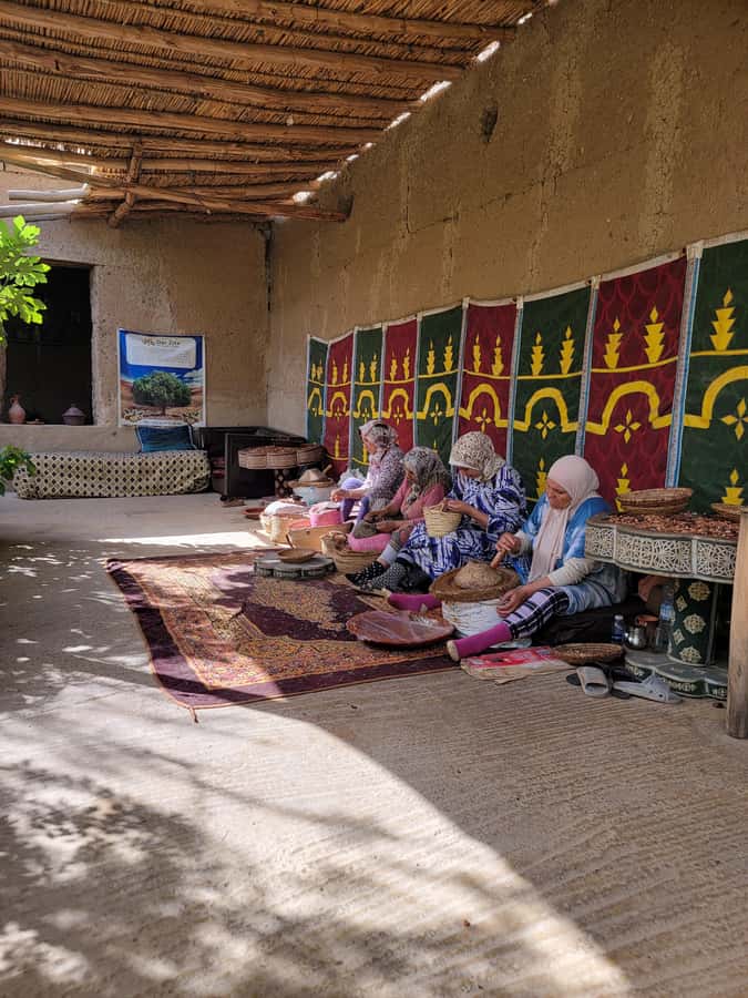 Marrakech: Ourika Valley, Waterfalls Private Trip with Lunch - Practical Tips Before You Go (So You Enjoy the Water, Not Worry About It)