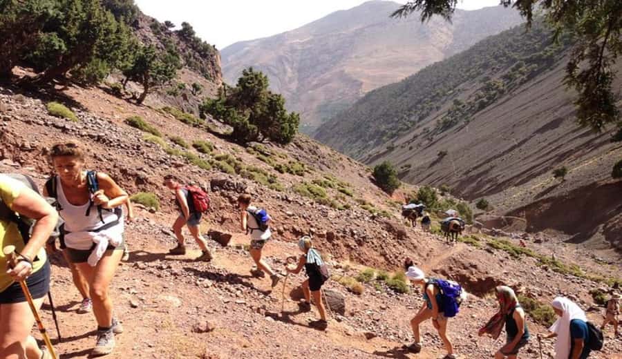 Marrakech: Ourika Valley waterfalls with guide& Berber lunch - Time management and pacing: how you avoid feeling rushed