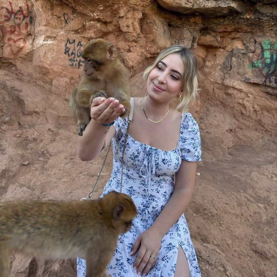 Marrakech: Ouzoud Waterfall, Guided Hike, Boat Ride & Lunch - Logistics that make or break the day