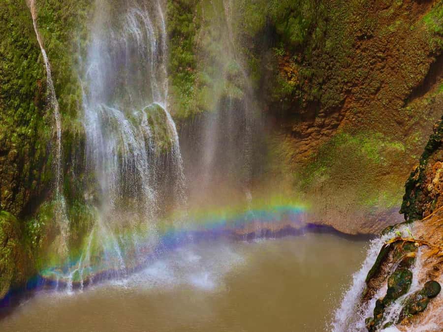 Marrakech: Ouzoud Waterfalls Trip, Guided Hike & Boat Option - Getting There and Back, Pickup Windows and a Long-ish Day