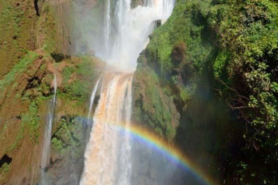 Marrakech: Ouzoud Waterfalls Trip, Guided Hike & Boat Option - Who This Tour Suits Best (and Who Might Want to Skip It)