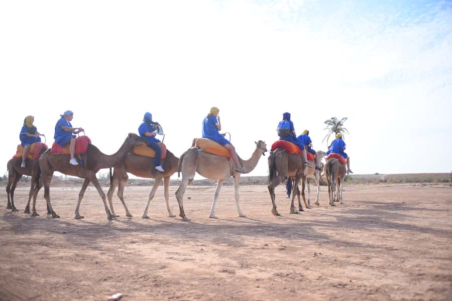 Marrakech: pack quad and camel ride in the palm grove - Quad briefing, helmets, glasses, and riding without a license