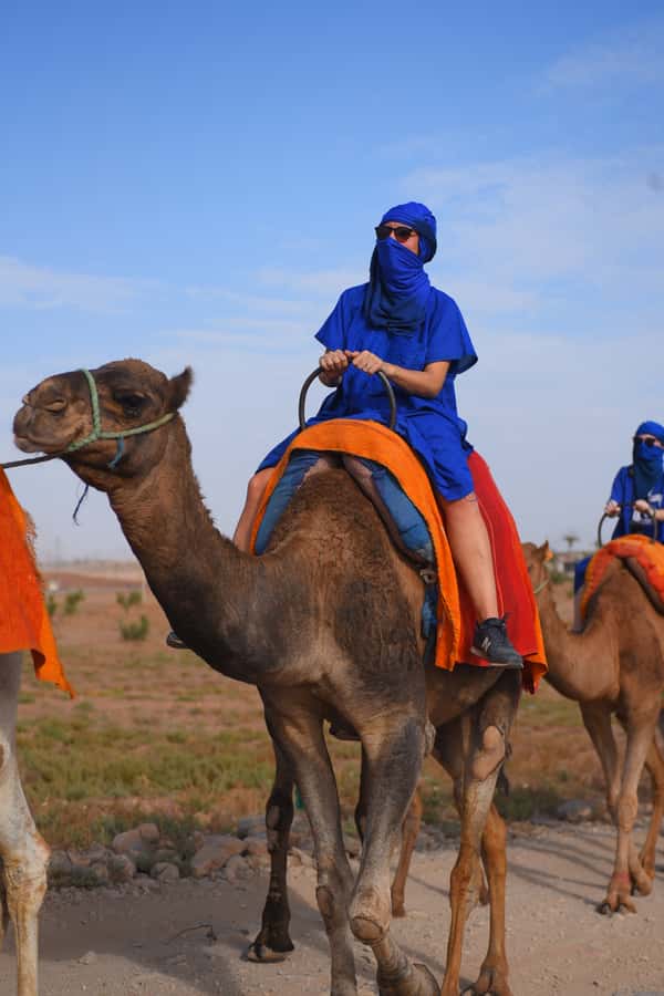 Marrakech: pack quad and camel ride in the palm grove - A 15-minute camel ride: short, fun, and very photogenic