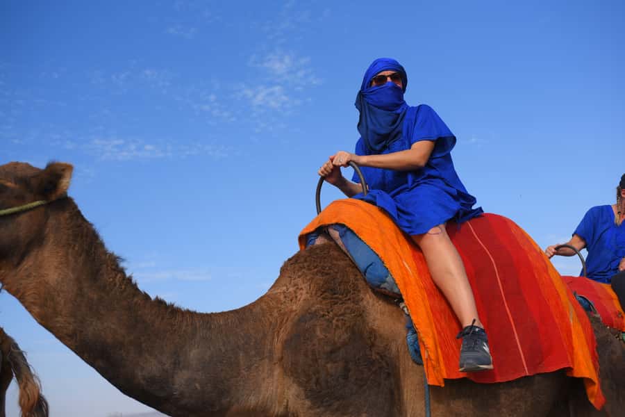 Marrakech: pack quad and camel ride in the palm grove - Pickup near KFC Jamaa el Fna or your riad, then straight to the quad base