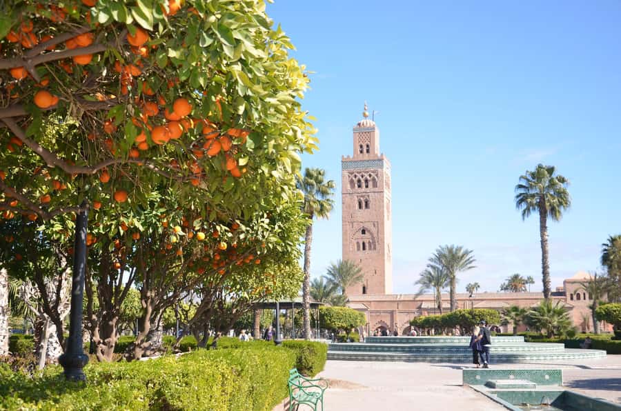 Marrakech: Palace, Museum, Madrasa & Medina Highlights Tour - Price and What Your $18 Really Buys (Plus Tickets)