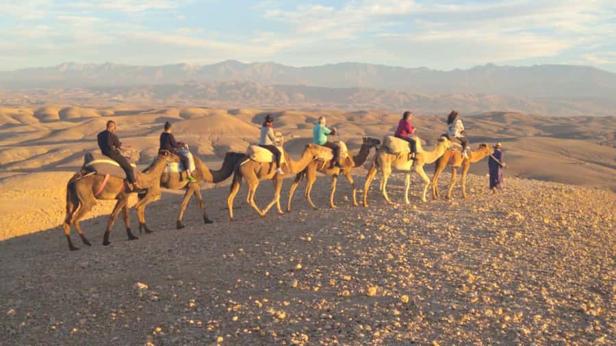 Marrakech Palaces and Monuments Half-Day Tour - Menara Garden (Al Manara Park): pools, olive trees, and a reset