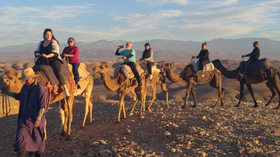 Marrakech Palaces and Monuments Half-Day Tour - Price and value: $29 plus the basics you’ll likely pay anyway