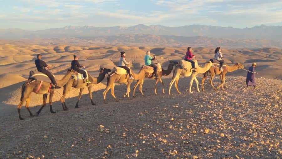 Marrakech Palaces and Monuments Half-Day Tour - The vibe, timing, and who this tour suits best