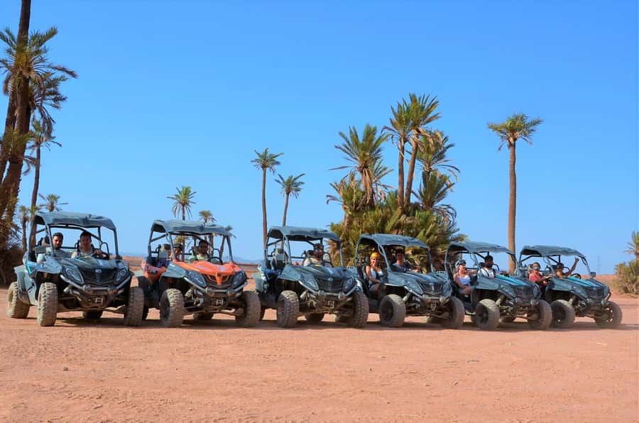 Marrakech: Palm Grove and Desert Buggy excursion - The Hot Mint Tea Break in a Traditional Villa