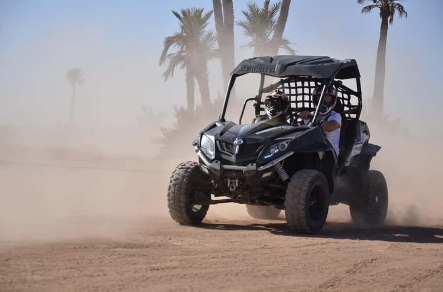 Marrakech: Palm Grove and Desert Buggy excursion - Price and the Solo-Driver Upgrade: Where the Value Comes From