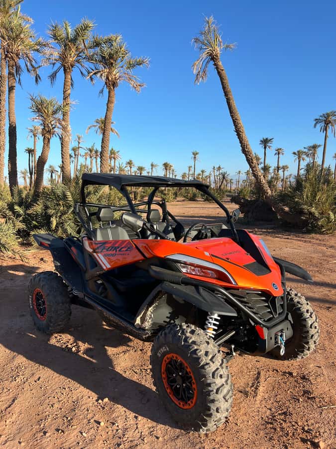 Marrakech : Palm Grove and jbilat Desert Buggy 1000cc Tour - Key things to love about the Palm Grove and Jbilat buggy tour