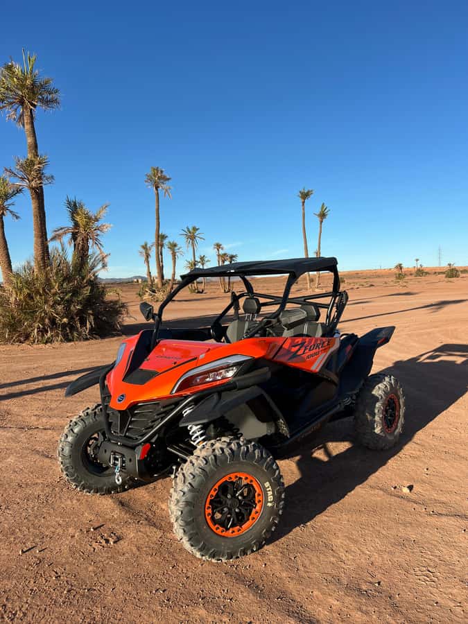 Marrakech : Palm Grove and jbilat Desert Buggy 1000cc Tour - Final decision: should you book this Marrakech palm grove buggy tour?