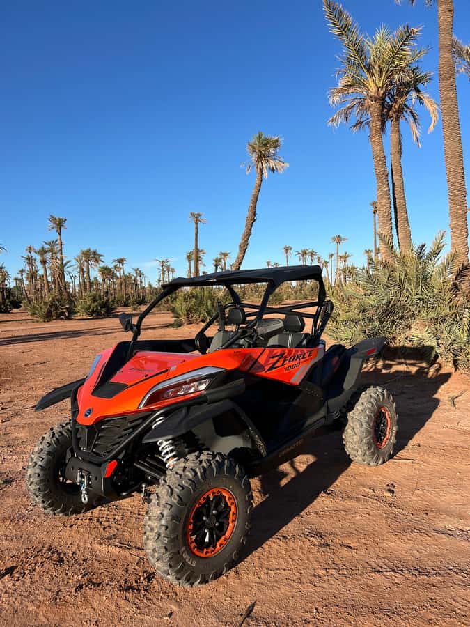 Marrakech : Palm Grove and jbilat Desert Buggy 1000cc Tour - Two hours of rocky desert and palm grove scenery