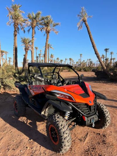 Palm Grove and jbilat Desert Buggy 1000cc Tour