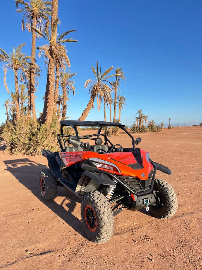 Marrakech : Palm Grove and jbilat Desert Buggy 1000cc Tour - Mint tea in a traditional villa: the pause that makes it feel human