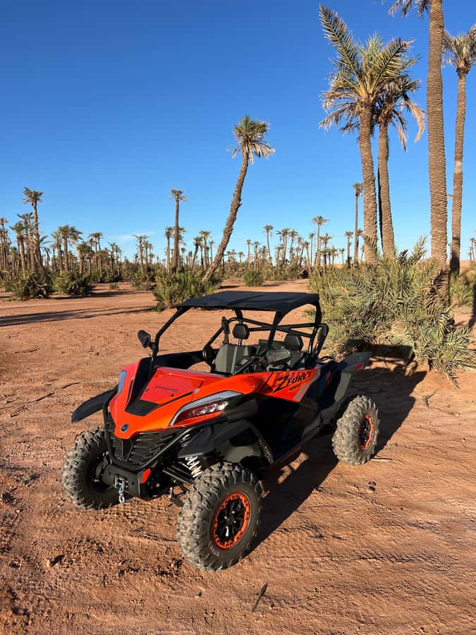 Marrakech : Palm Grove and jbilat Desert Buggy 1000cc Tour - Photo stop in the Palmeraie: quick, scenic, and close to the best views