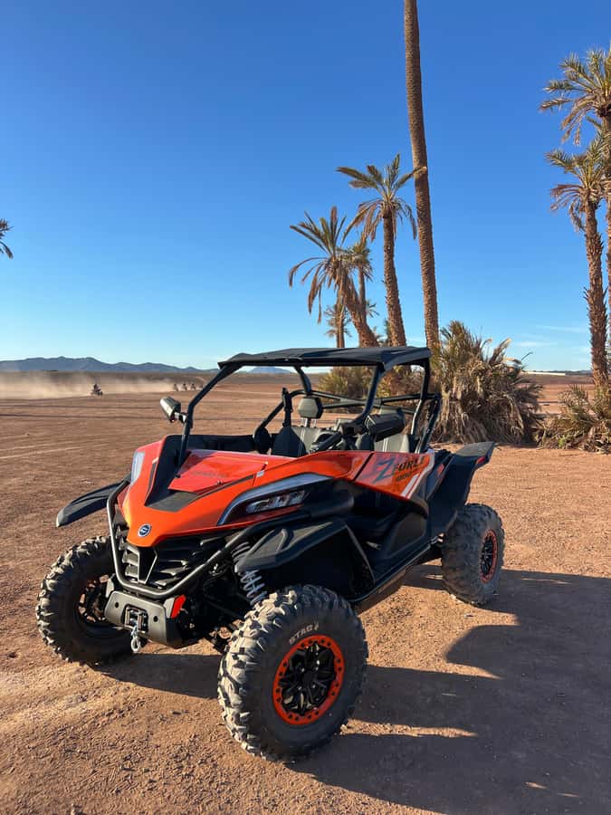Marrakech : Palm Grove and jbilat Desert Buggy 1000cc Tour - How the small group and buggy sharing changes the vibe