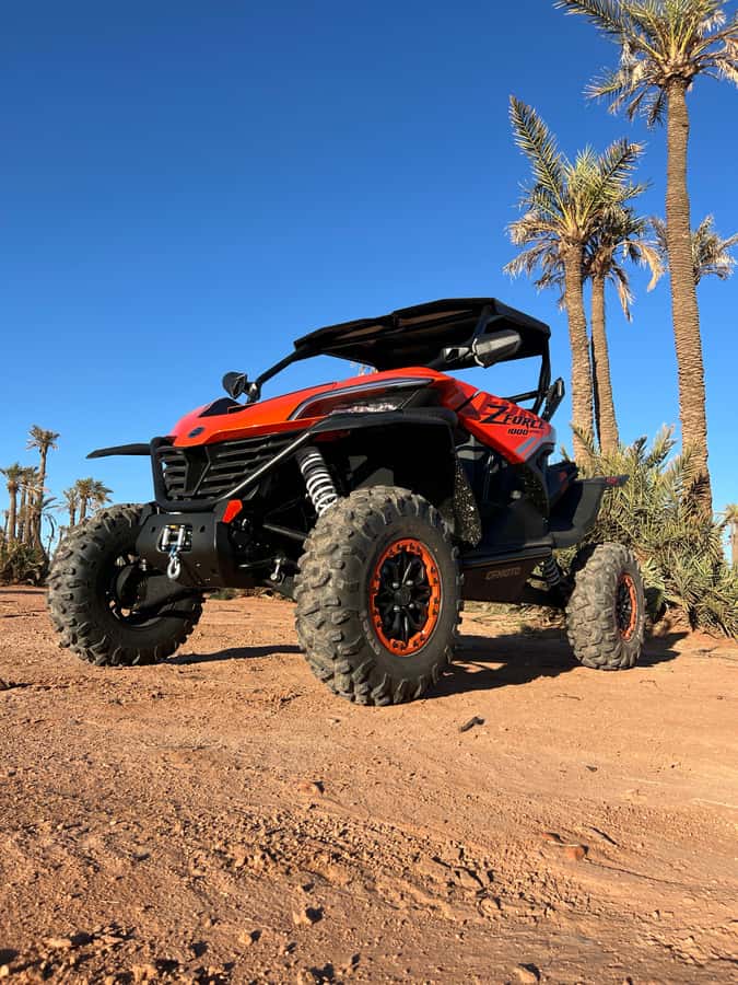 Marrakech : Palm Grove and jbilat Desert Buggy 1000cc Tour - What you actually get for about $79, and why it can be good value
