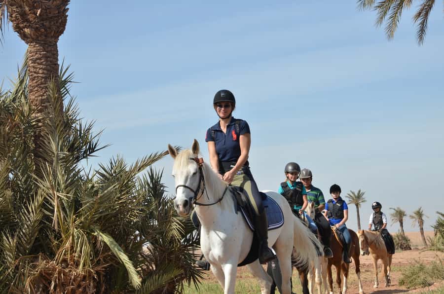 Marrakech: Palm Grove Horseback Riding Tour - Why This Marrakech Palm Grove Ride Works