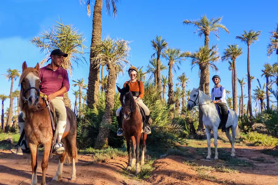 Marrakech: Palm Grove Horseback Riding Tour - Meeting Your Horse: Calm, Control, and Real Instruction