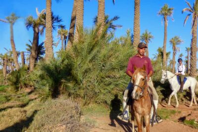 Palm Grove Horseback Riding Tour