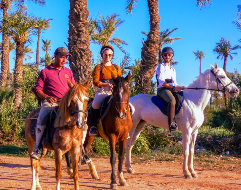 Marrakech: Palm Grove Horseback Riding Tour - Mint Tea in a Tent: The Pause That Makes It Feel Moroccan