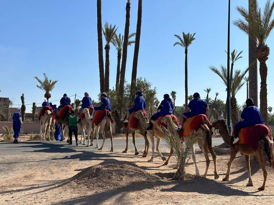Marrakech Palmeraie Camel Ride Adventure - Should you book this camel ride in the Palmeraie?
