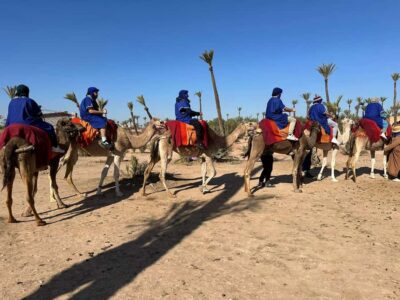 Marrakech Palmeraie Camel Ride Adventure